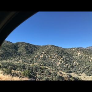 Meet your Posher, Ricky